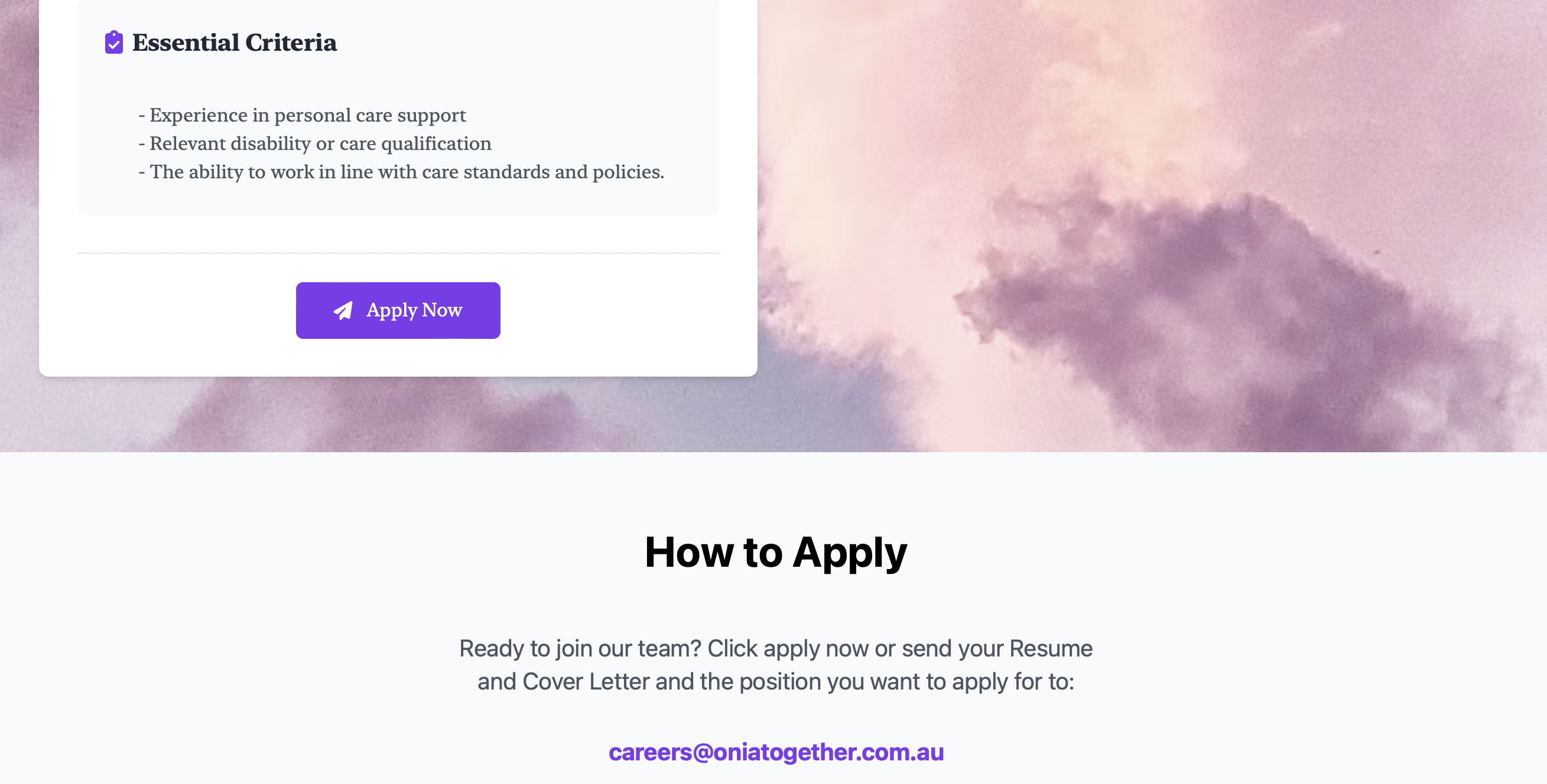 Job application interface